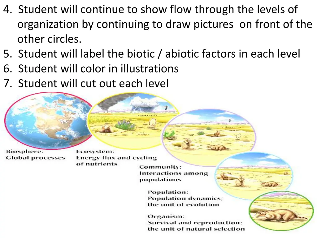 4 student will continue to show flow through