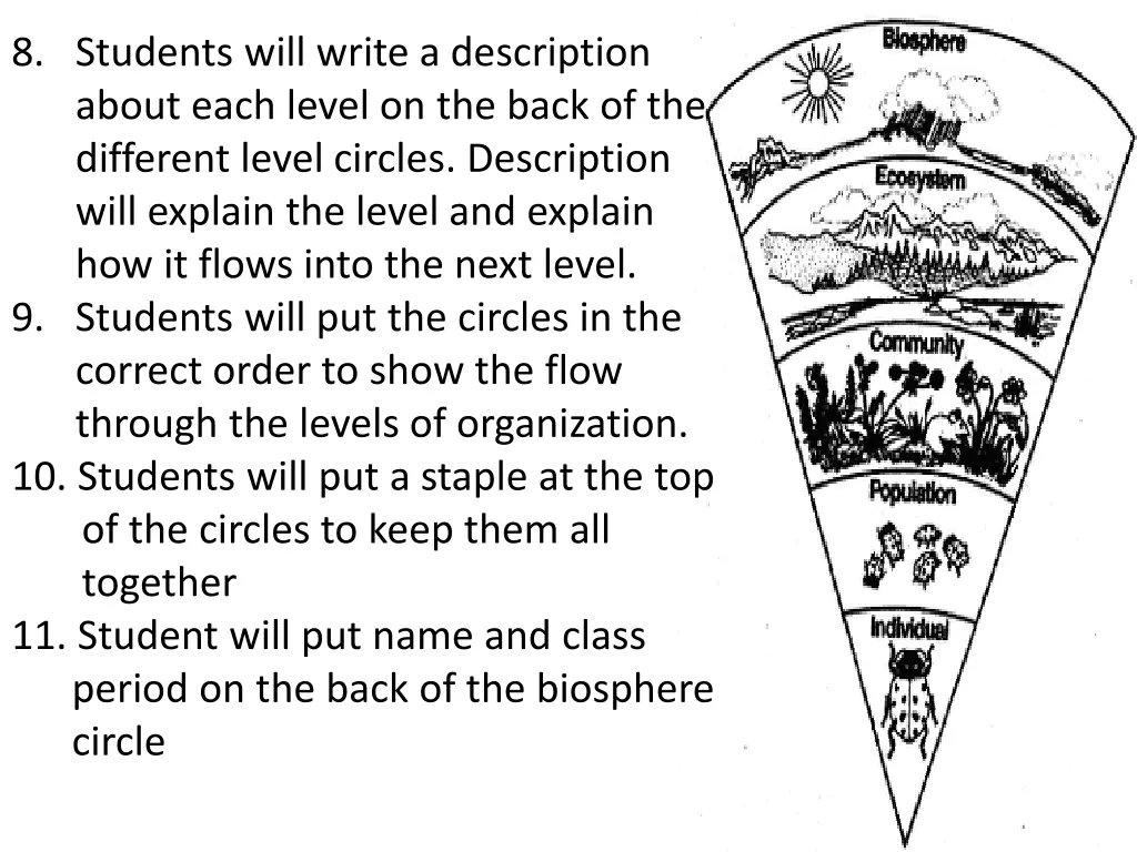 8 students will write a description about each