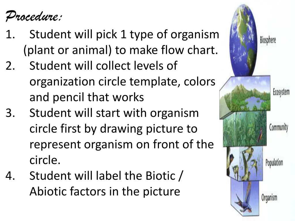 procedure 1 student will pick 1 type of organism