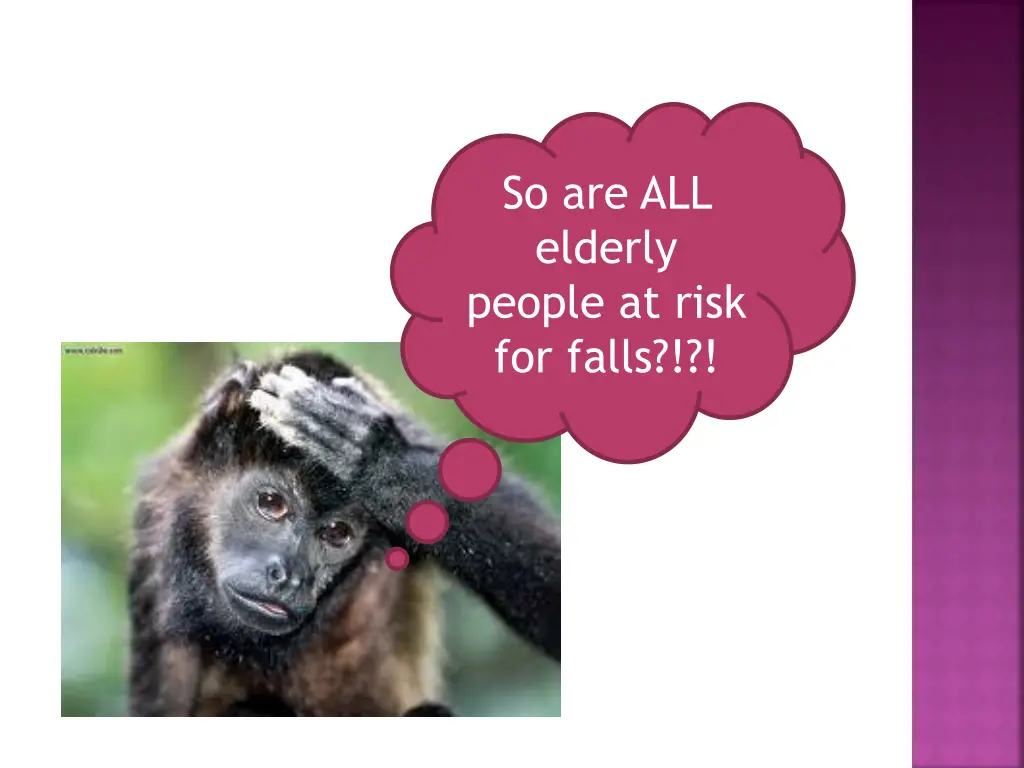 so are all elderly people at risk for falls