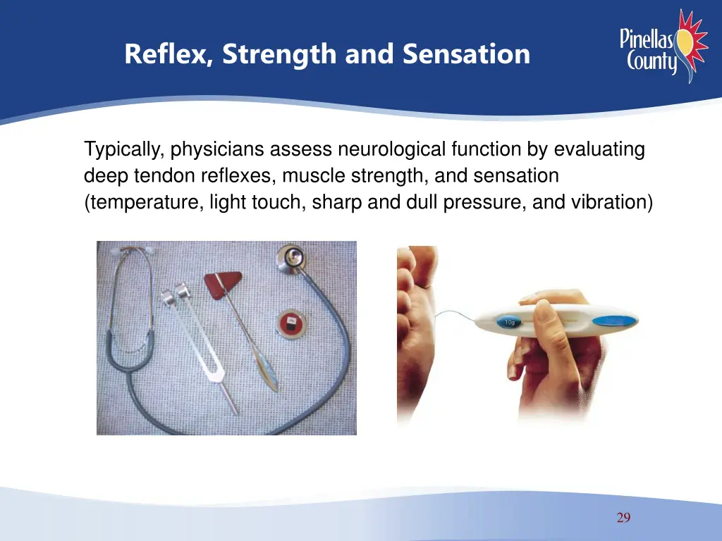 reflex strength and sensation