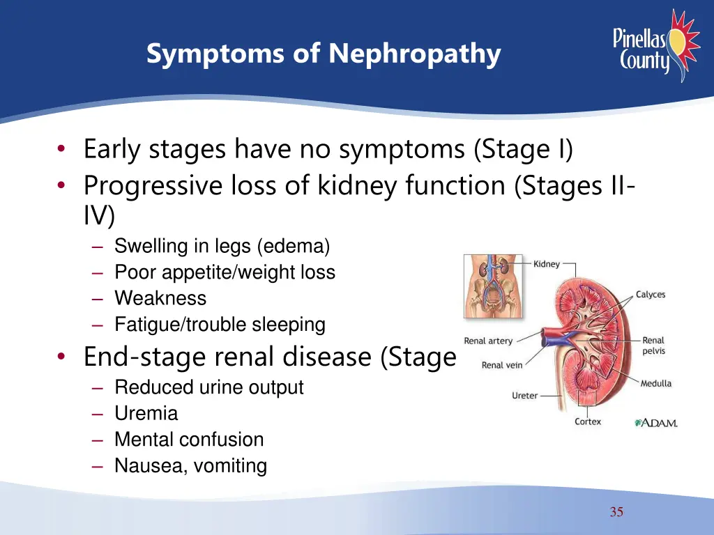 symptoms of nephropathy