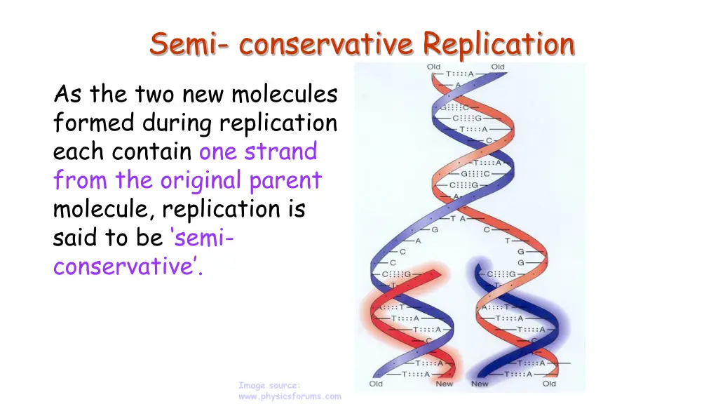 semi conservative replication
