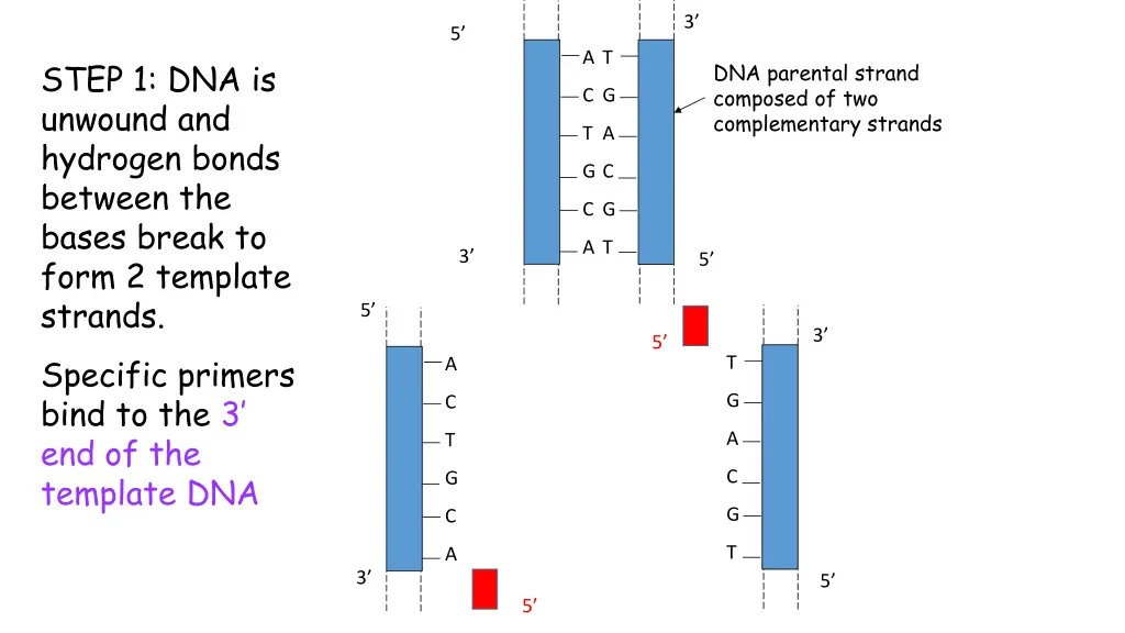 slide11