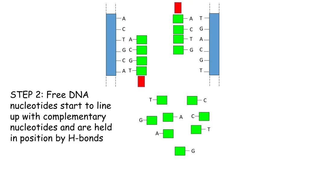 slide12