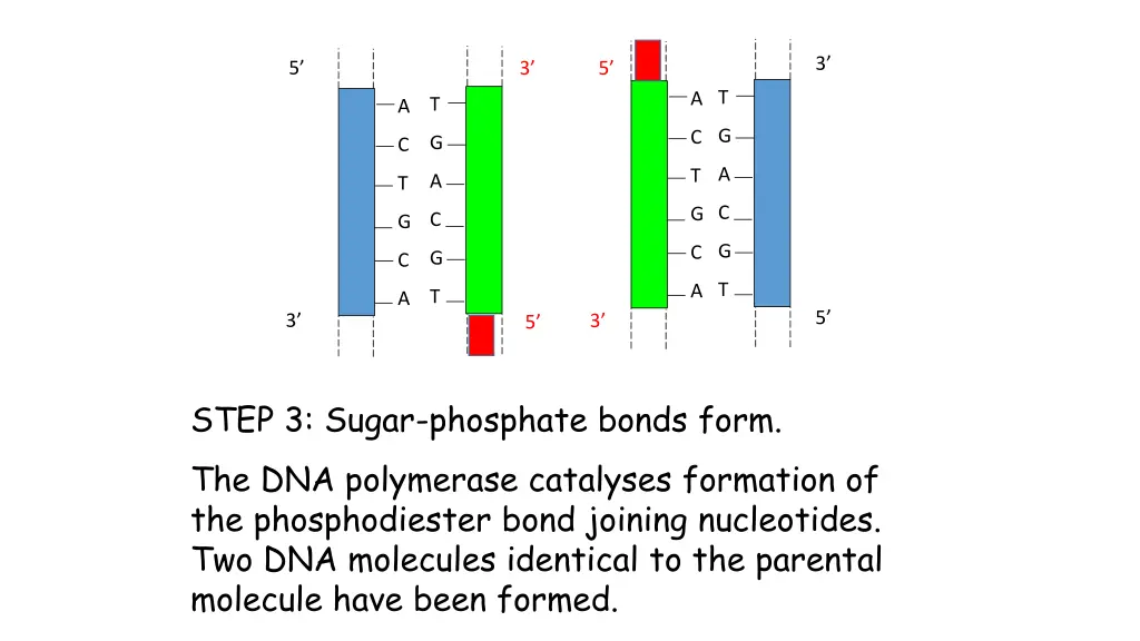slide13