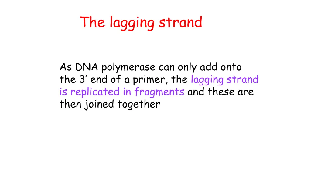the lagging strand