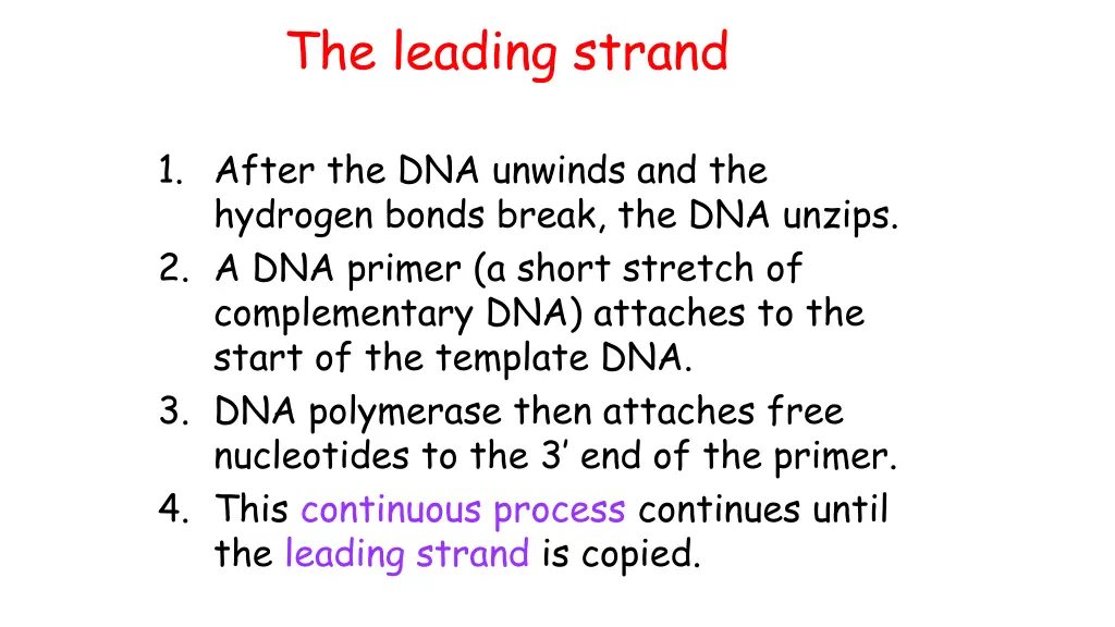 the leading strand 1