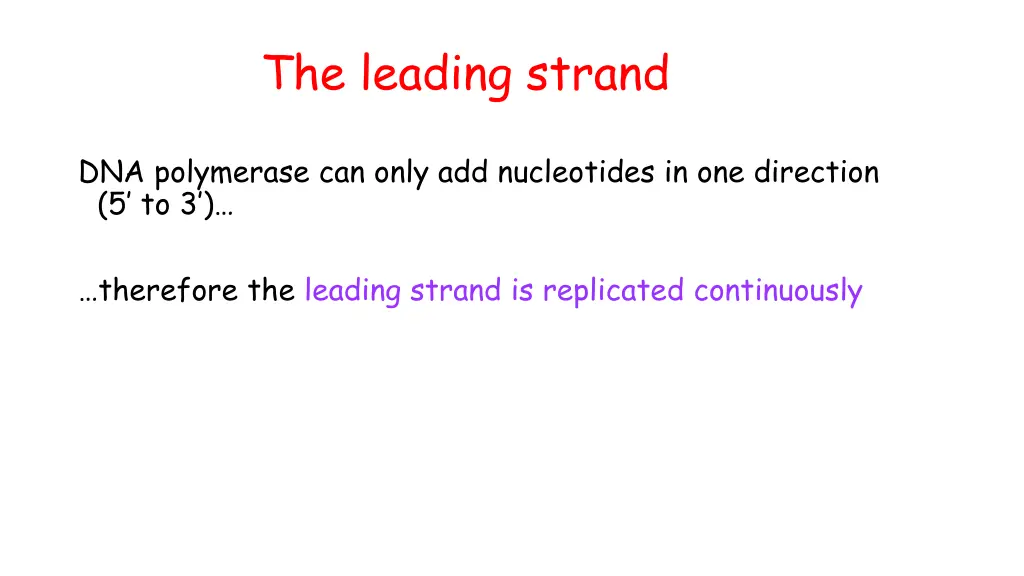 the leading strand