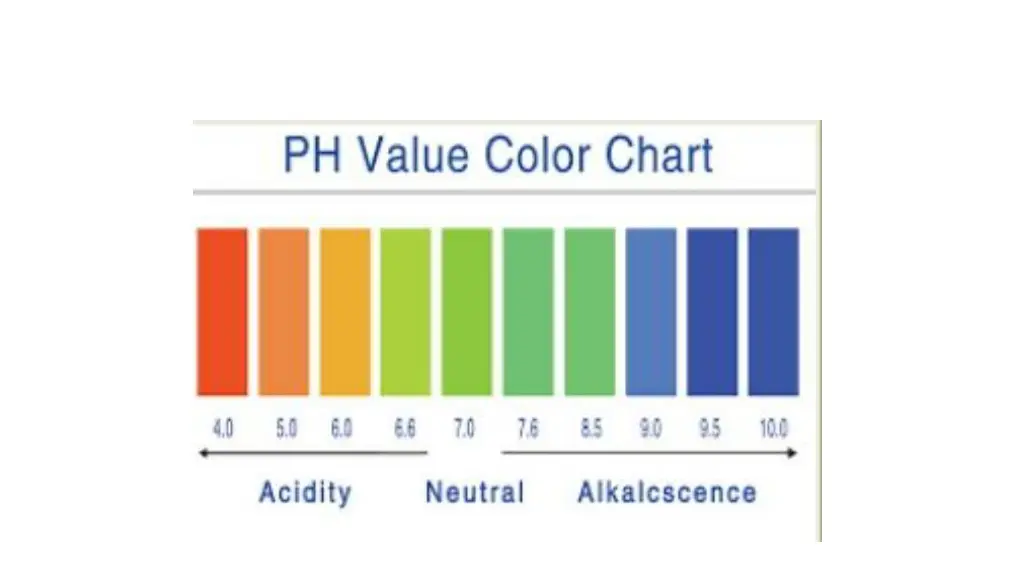 slide20