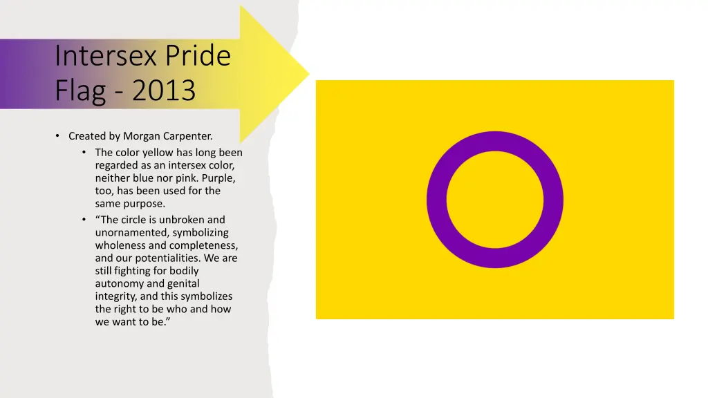 intersex pride flag 2013