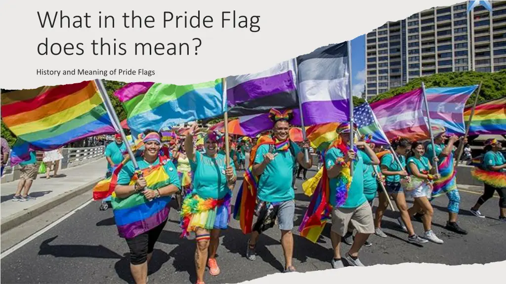 what in the pride flag does this mean
