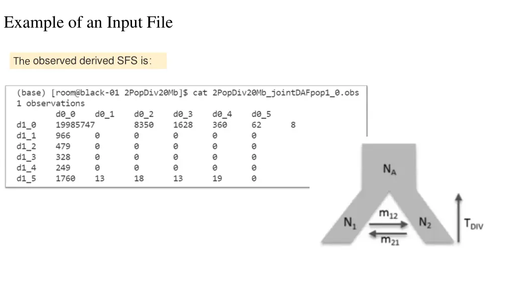 example of an input file