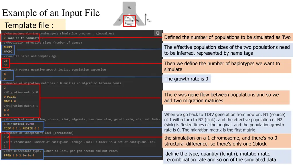 example of an input file template file