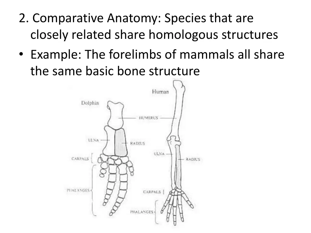 2 comparative anatomy species that are closely 3