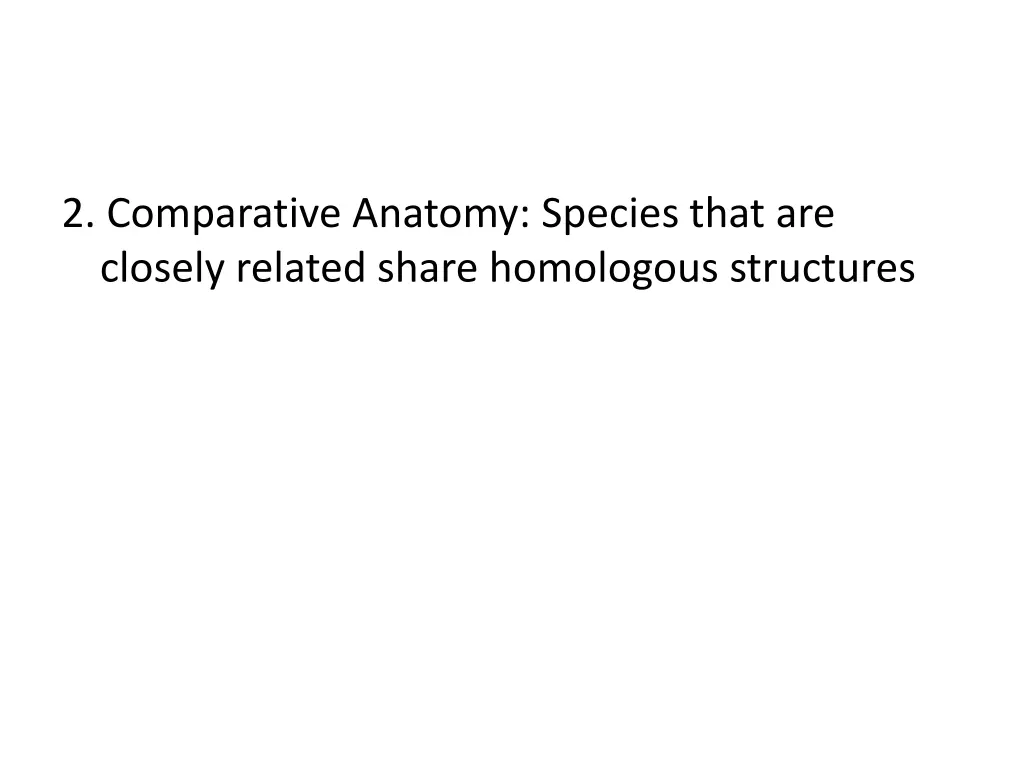2 comparative anatomy species that are closely
