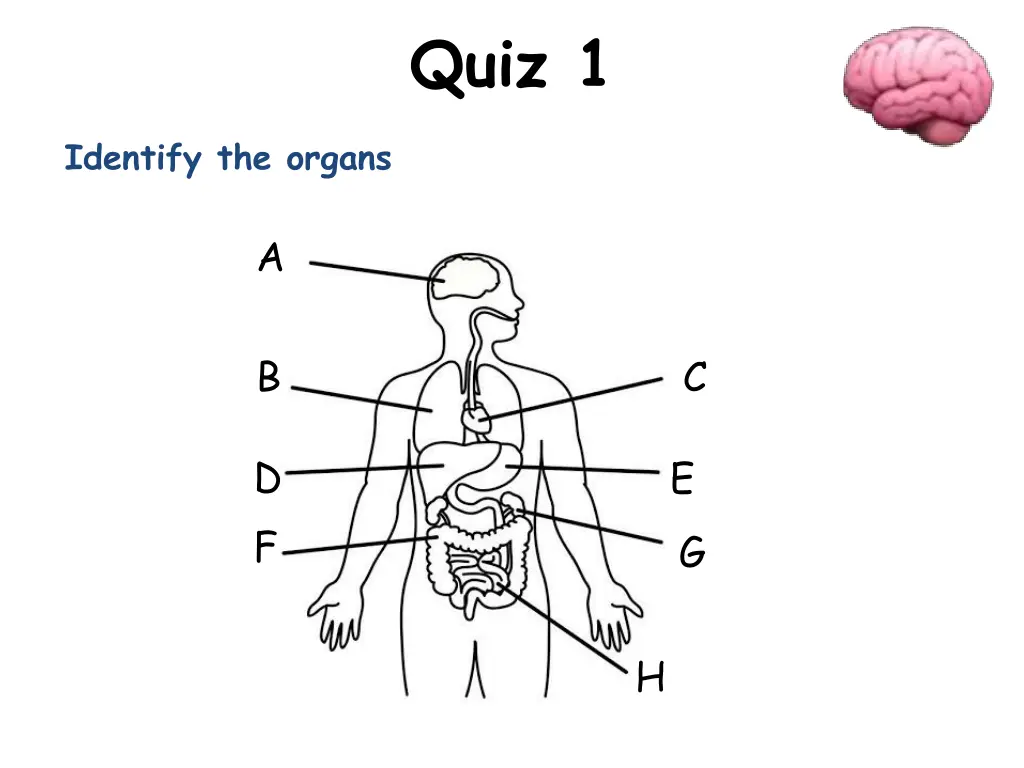quiz 1
