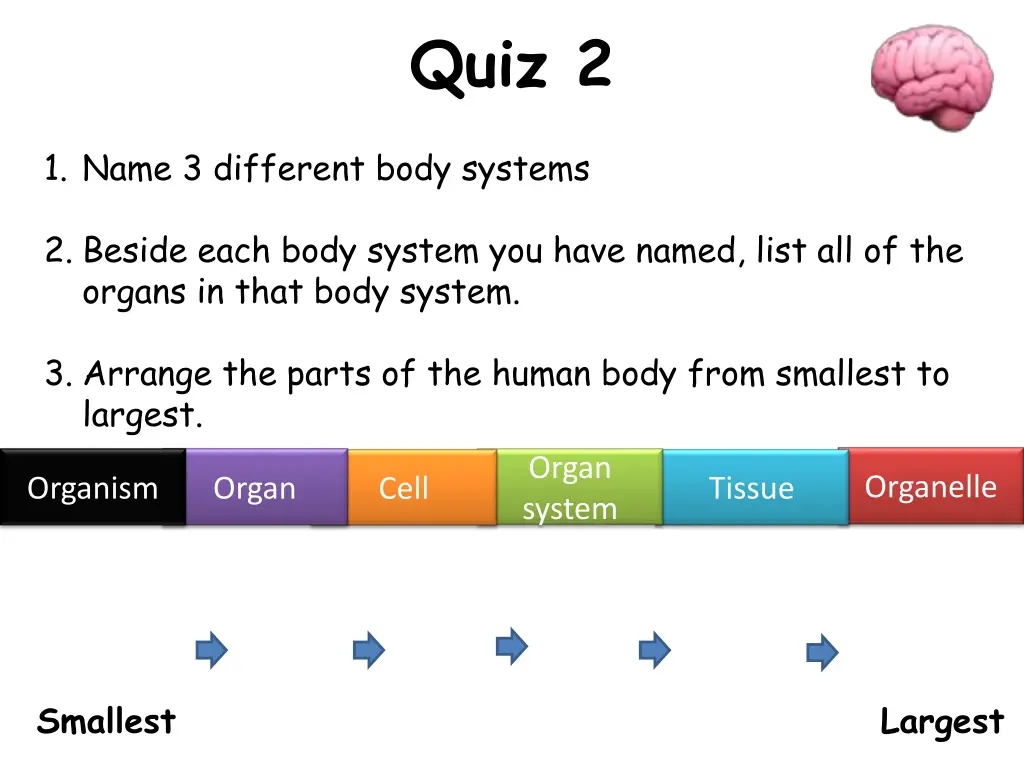 quiz 2