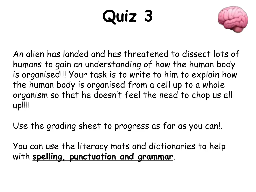 quiz 3