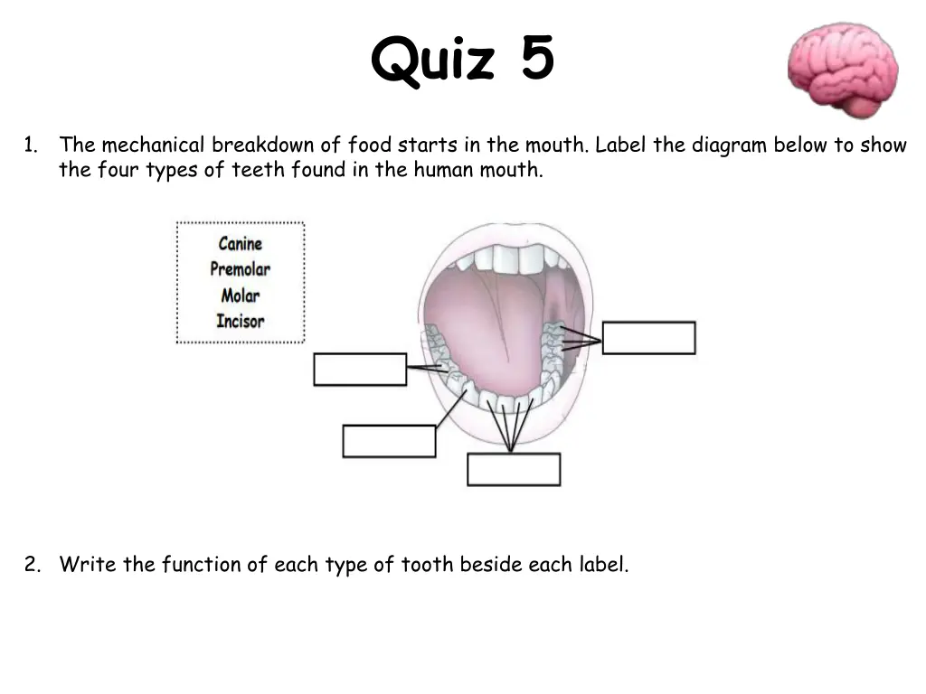 quiz 5