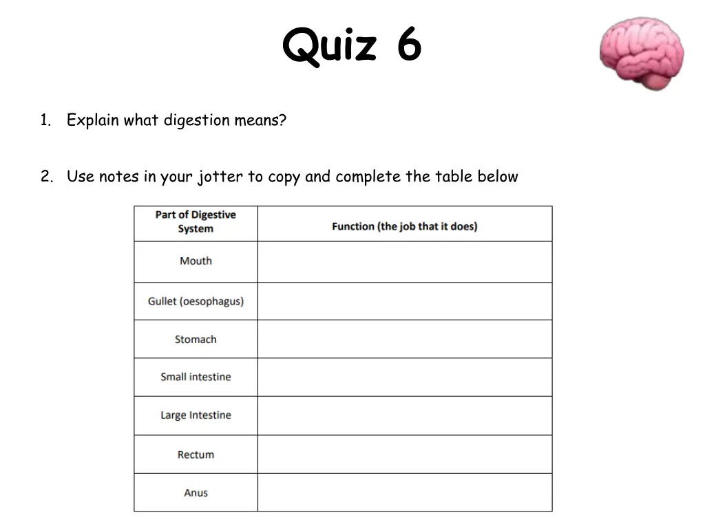 quiz 6