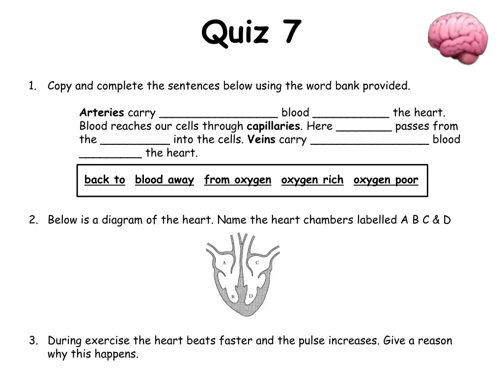 quiz 7