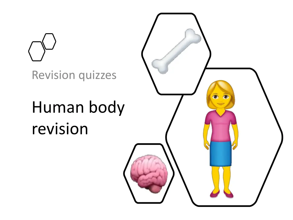 revision quizzes