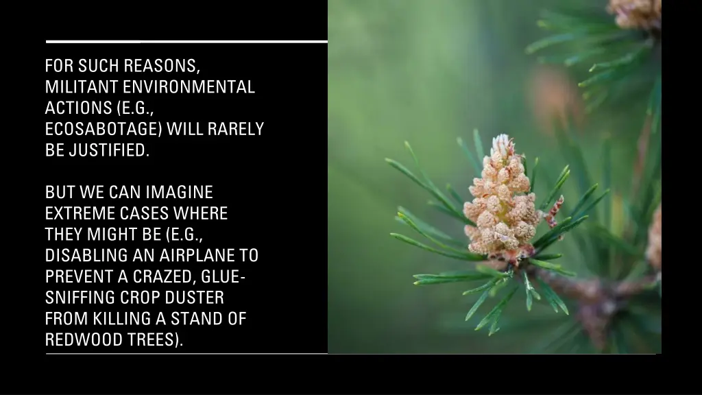 for such reasons militant environmental actions