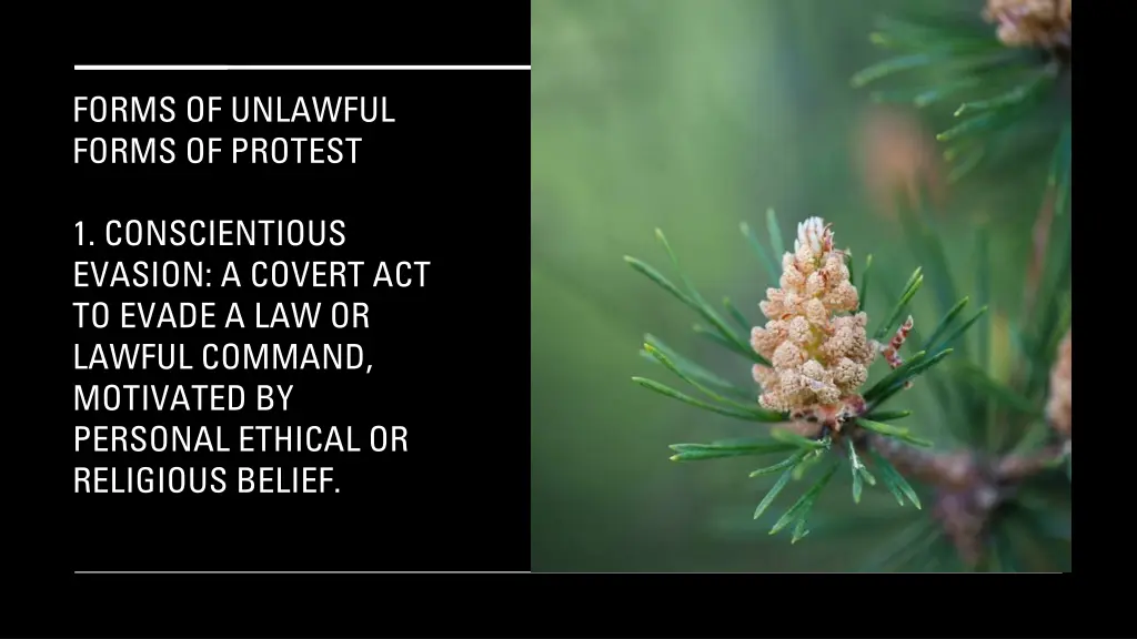 forms of unlawful forms of protest