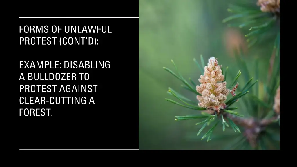 forms of unlawful protest cont d 3