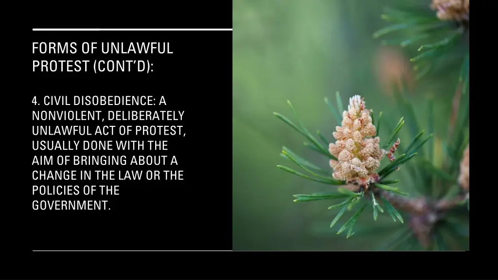 forms of unlawful protest cont d 4