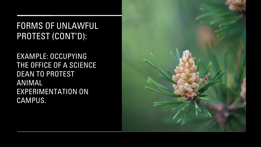 forms of unlawful protest cont d 5