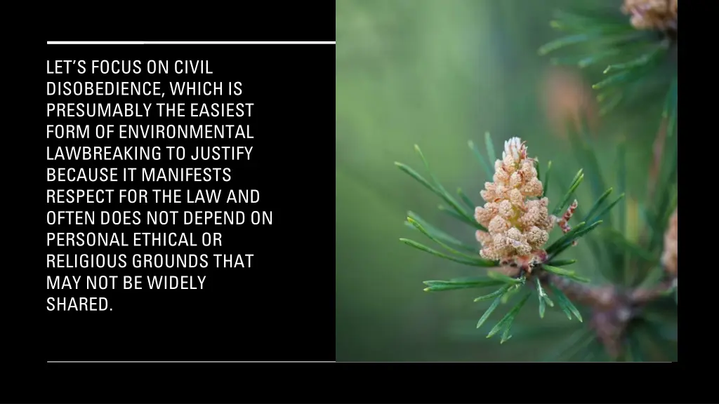 let s focus on civil disobedience which