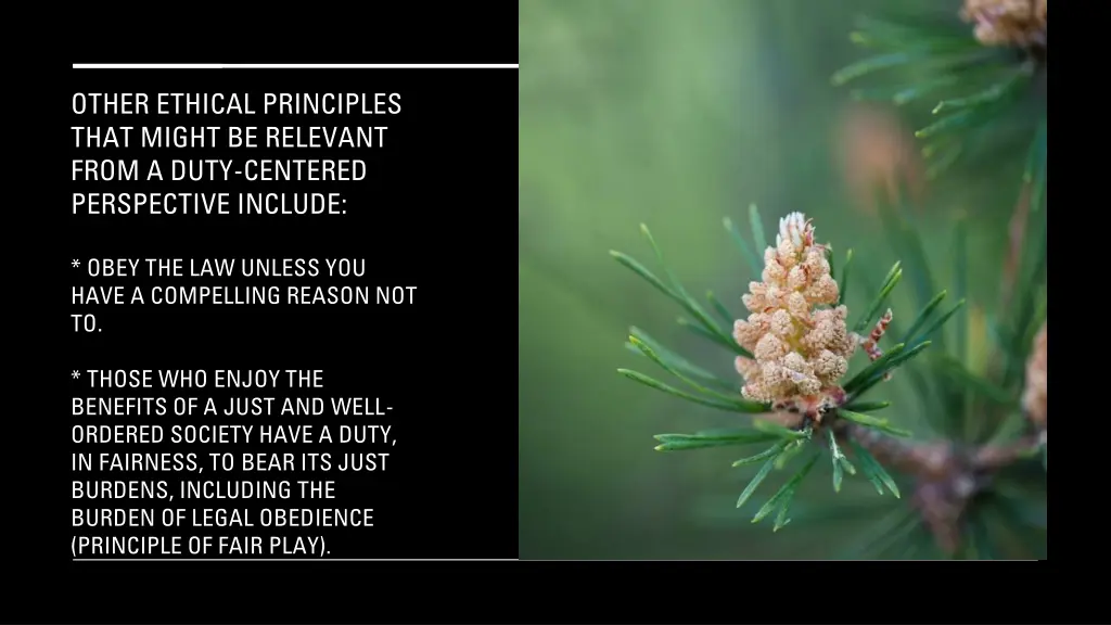 other ethical principles that might be relevant