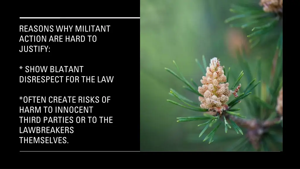 reasons why militant action are hard to justify 1