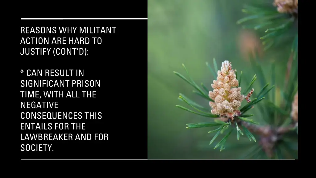 reasons why militant action are hard to justify 3