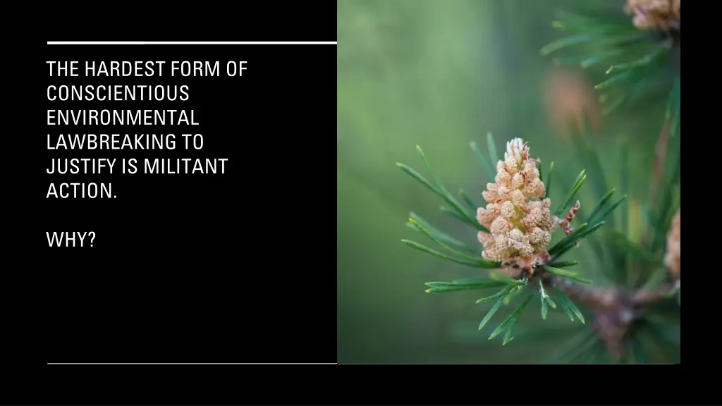 the hardest form of conscientious environmental