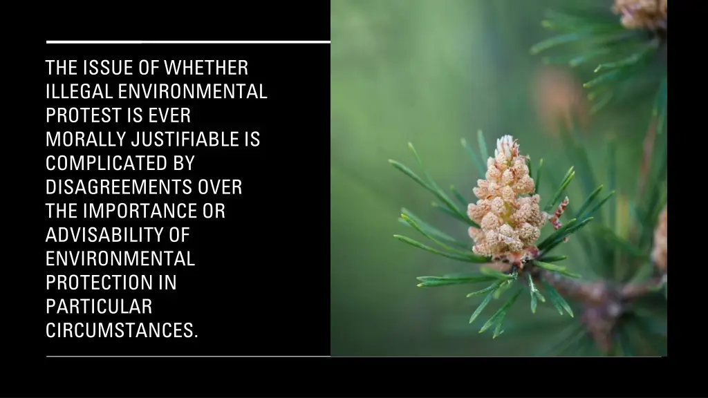 the issue of whether illegal environmental
