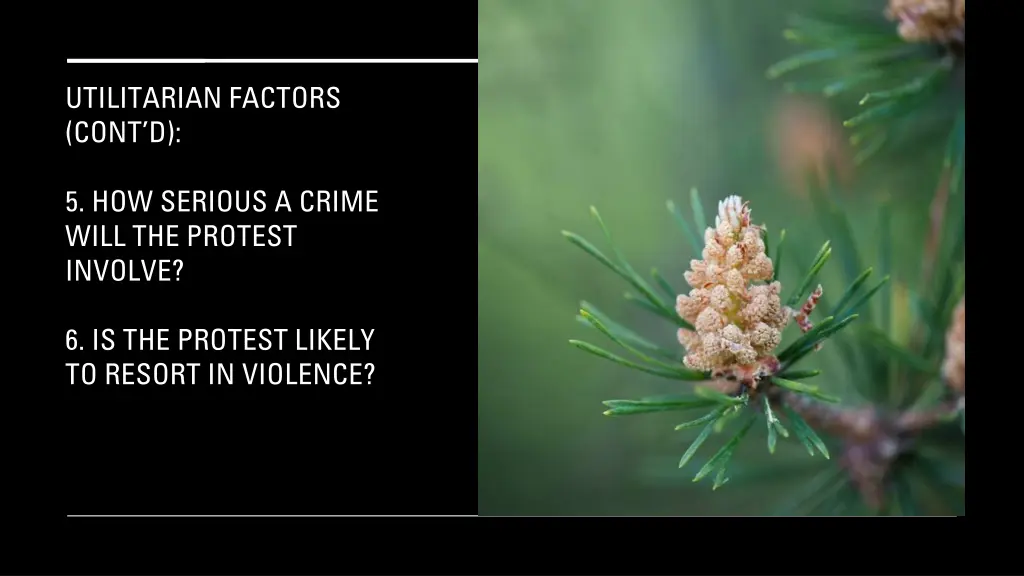 utilitarian factors cont d 1