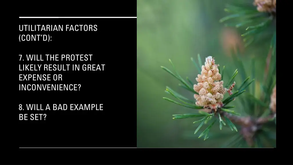 utilitarian factors cont d 2