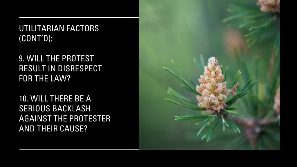 utilitarian factors cont d 3