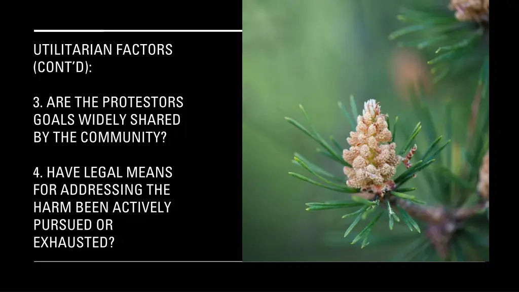 utilitarian factors cont d