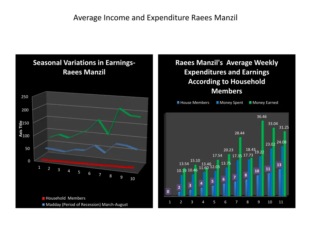 average income and expenditure raees manzil