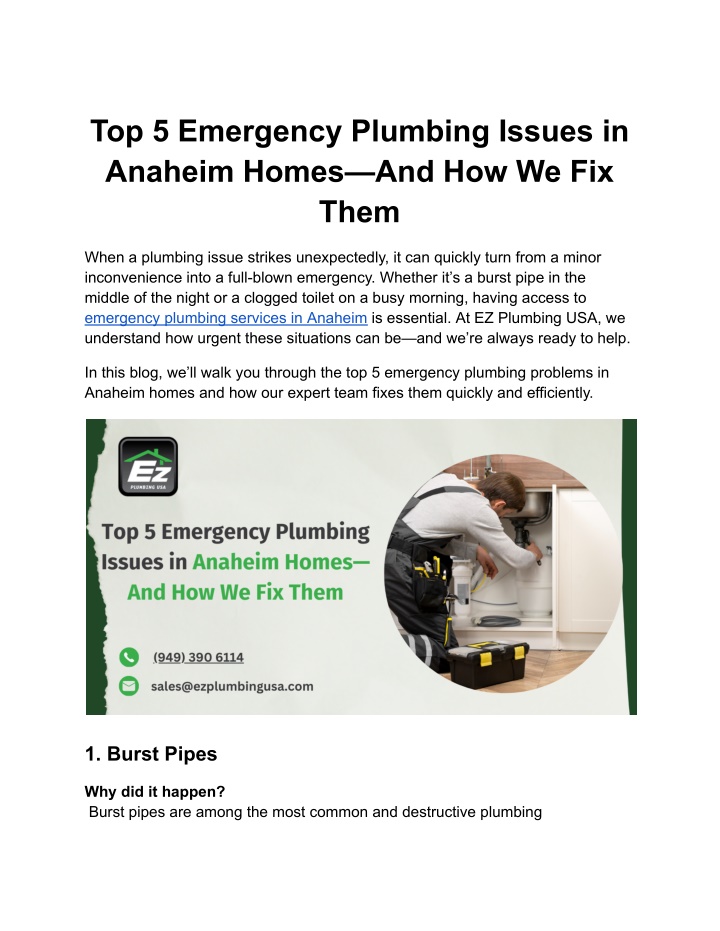 top 5 emergency plumbing issues in anaheim homes