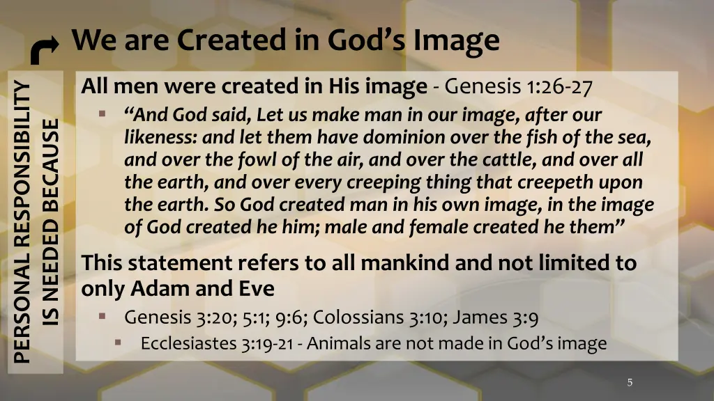 we are created in god s image