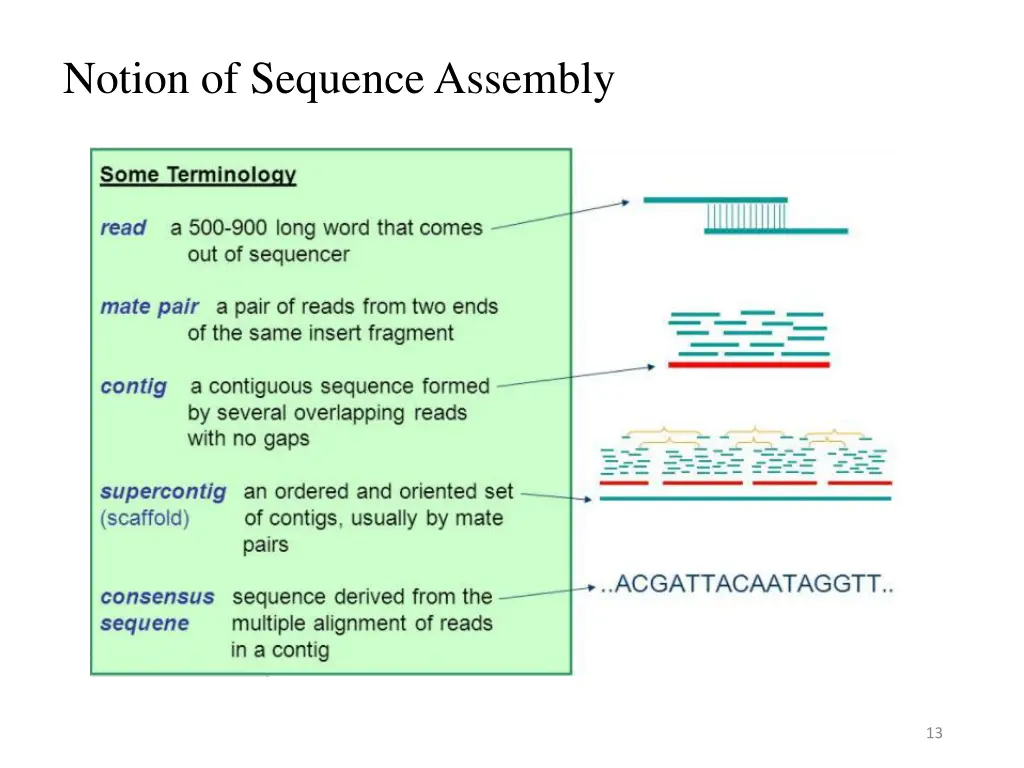notion of sequence assembly