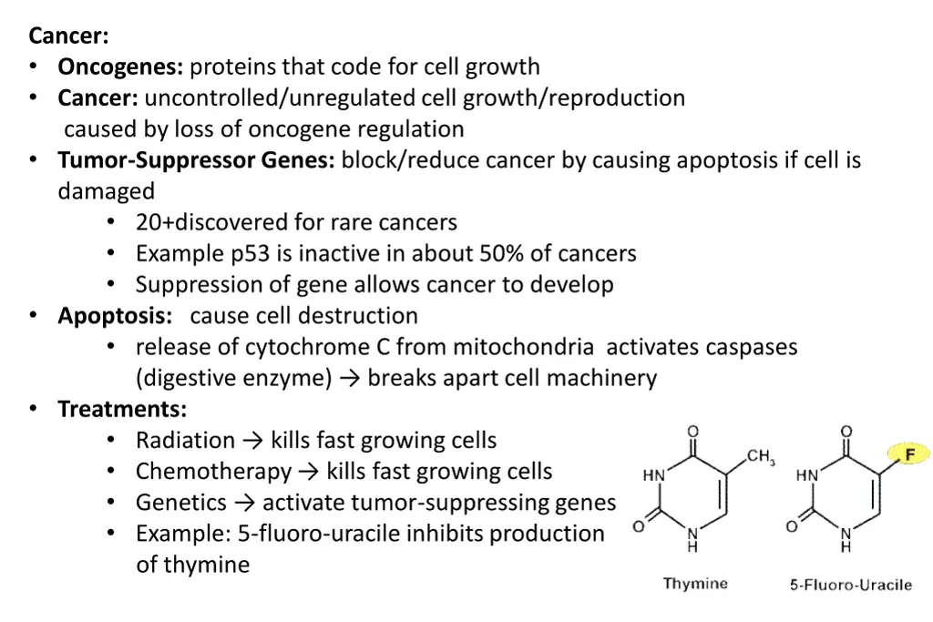 cancer oncogenes proteins that code for cell