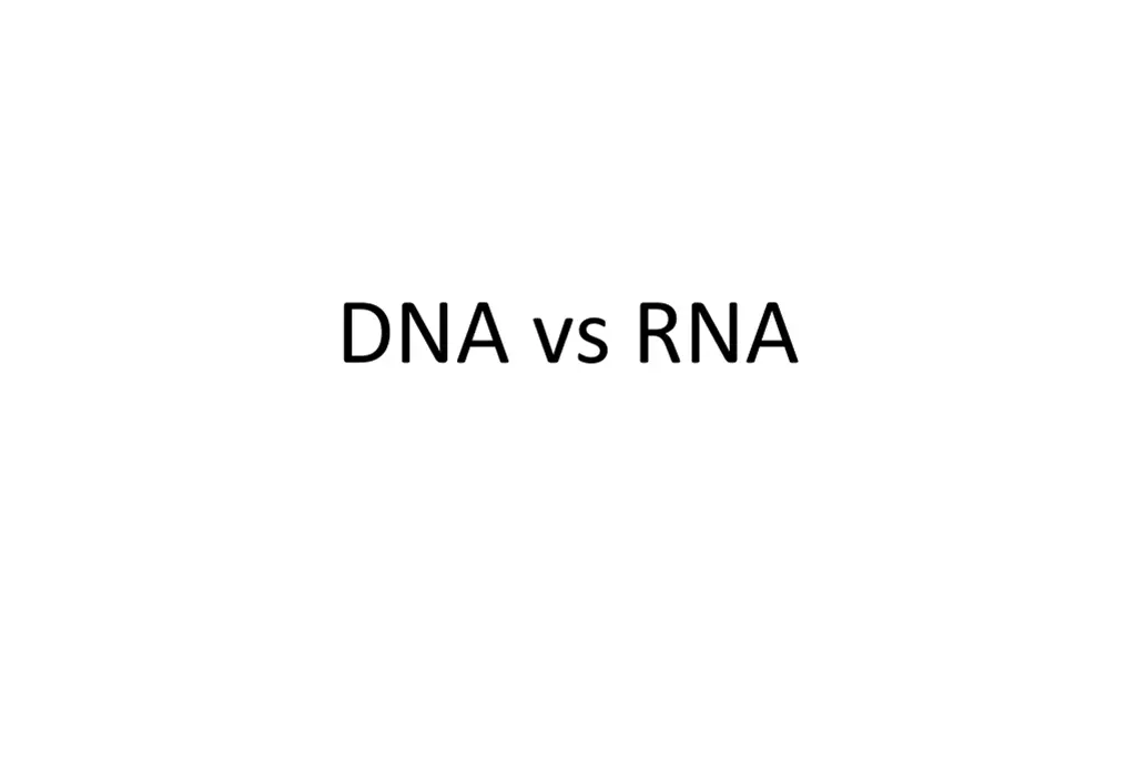 dna vs rna