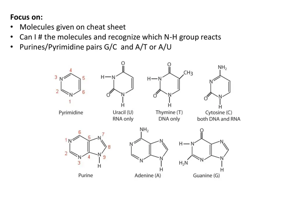 focus on molecules given on cheat sheet