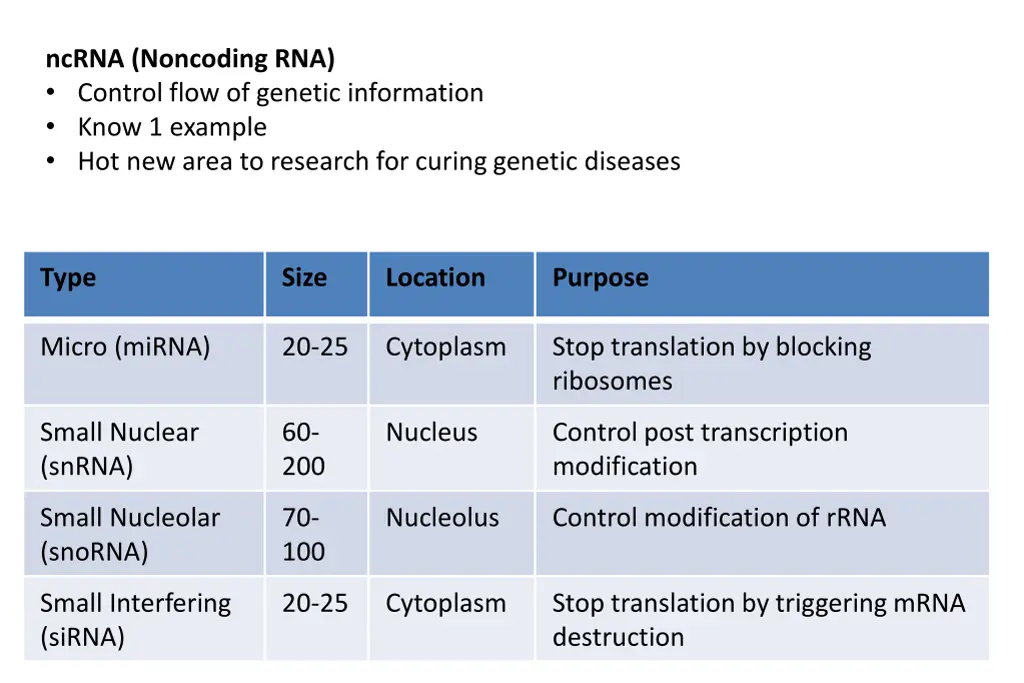 ncrna noncoding rna control flow of genetic